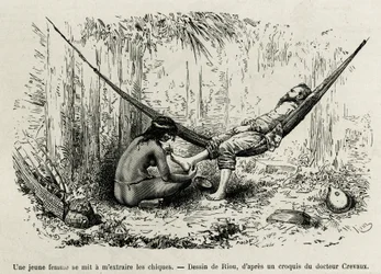 En ung Roucouyan kvinna drar ut shies som har strålat upptäcktsresandens fötter under natten. Gravyr av Riou, för att illustrera historien om Cayenne aux Andes, av Jules Crevaux, läkare för franska flottan, 1878-1879, publicerad i Tour du monde, un