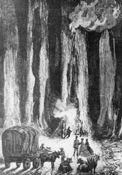 När kvällen kom slog man läger vid foten av eukalyptusträd, illustration till Kapten Grants barn, äventyrsroman av Jules Verne (1828-1905), gravyr av Adolphe François Pannemaker (född 1822) efter teckning av Édouard Riou (1833-1900), 1868, Paris