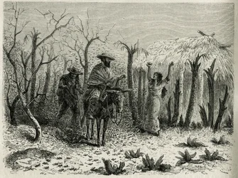 The Clouds of Grasshoppers of the Vallee du Upper Patia, med på sin mula resans berättare, graverad av Riou, för att illustrera historien L