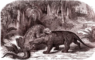 Iguanodon och megalosaurus (gravyr)