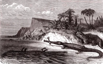 Teleosaurus och Hyleosaurus