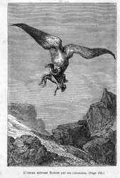 ”Kapten Grants barn: Fågeln rövade bort Robert i hans kläder” av Jules Verne, Hetzelutgåvan/Extraordinära resor 1868