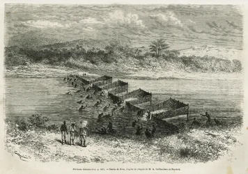 Fiskeindustrin vid floden Eboga, som fångar fisken, leder genom forsen genom sina bambuleror, ritad av Riou, för att illustrera historien om en resa till Gabon och floden Ogoue, 1875-1877, av Alfred Marche. Gravyr i Le tour du monde