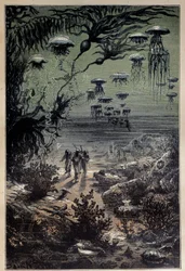 Undervattensgolv. Illustration av Edouard Riou (1833-1900) för romanen "Tjugo tusen ligor under havet"" av Jules Verne (1828-1905) 1800-talets privatsamling