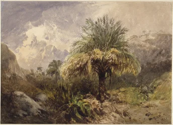 Palmer i bergen