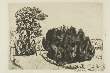 Kväll i parken