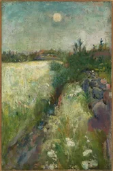 Blomsteräng vid Veierland
