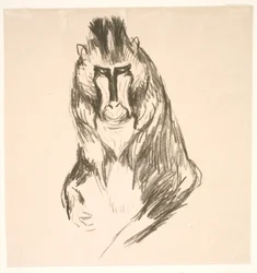 Gorilla (fastlandet)