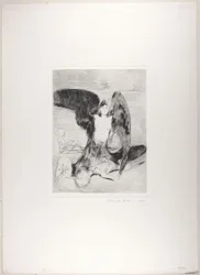 Harpya