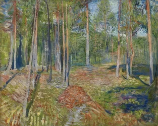 Tallskog. 1891-92