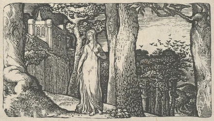 Lady with the Rooks, 1829.