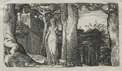 The Lady and the Rooks