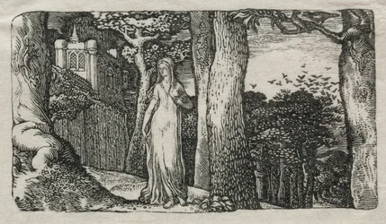 The Lady and the Rooks, 1829.