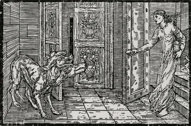 Cerberus