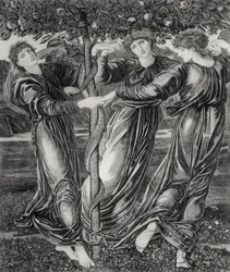 Hesperides trädgård