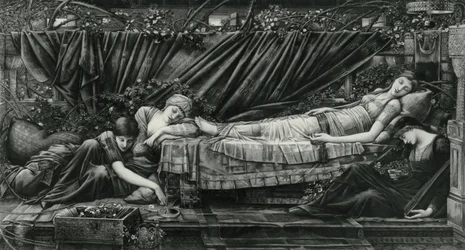 Rose Bower, från Briar Rose-serien