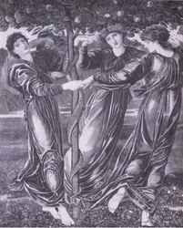 Hesperides trädgård, Bibby