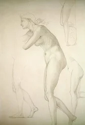 Galatea (penna på papper)