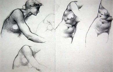 Förlåtelsens träd - Studie för figuren Phyllis, c.1882 (penna på papper)