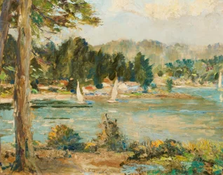 Segelbåtar på sjön