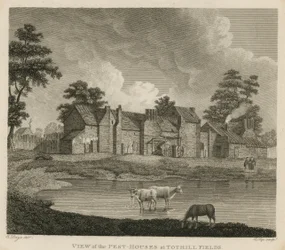 Utsikt över skadedjurshusen vid Tothill Fields, London