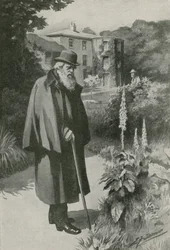 Charles Darwin i sin trädgård vid Down House (litografi)