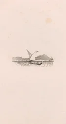 Neapel (vinjett)