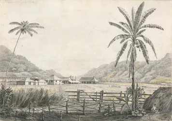 En vy av Hall-head Sugar Plantation, Jamaica