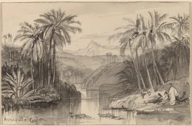 Avisavella, Ceylon, 18841885.
