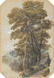 Corpo di Cava, den 28 juni 1838
