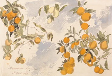 Fruktträd, 3 april 1863