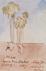 Mittemot Kom Ombos Abu Jer