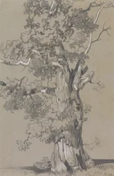 Parham, 13 oktober 1834