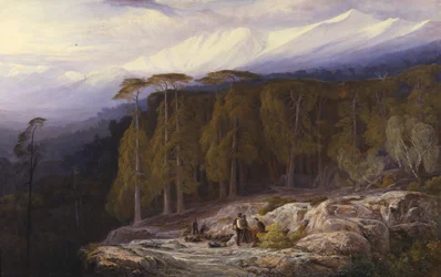 Skogen av Valdoniello, Korsika