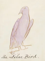 The Lilac Bird, från sexton teckningar av komiska fåglar (penna och bläck wc på papper)
