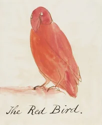 The Red Bird, från sexton teckningar av komiska fåglar (penna och bläck wc på papper)