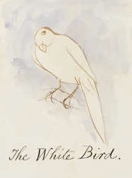 The White Bird, från sexton teckningar av komiska fåglar (penna och bläck wc på papper)