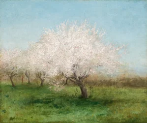 Äppelträd på en äng 1890 (olja på duk)