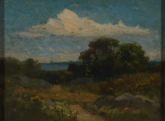 Landskap (träd och stenar vid sjö)