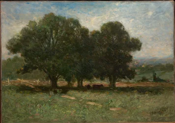 Landskap