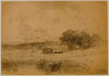Landskap, skog (#13) c. 1880 (grafit på papper)