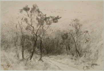 Landskap med stig (#51), ca. 1880-talet (kol på papper)