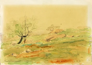 Neutaconcanut, 1891.