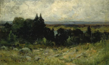 Utan titel (landskap, fält med stenar och träd)
