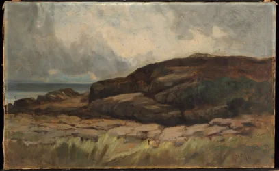 Utan titel (landskap med stenar)