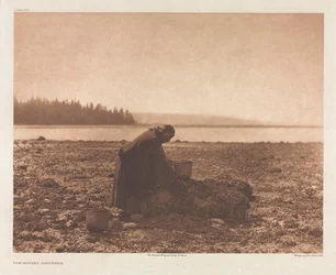 Portfölj IX, skylt 313: Musselsamlaren