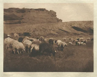 Portfölj I, plansch 33: Navaho-flockar