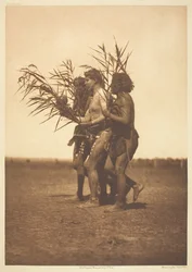 Arikaras medicinceremoni - ankorna, 1908.