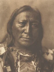 Ihålig hornbjörn, 1907.