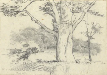 Nr. Lyndhurst, augusti 1871